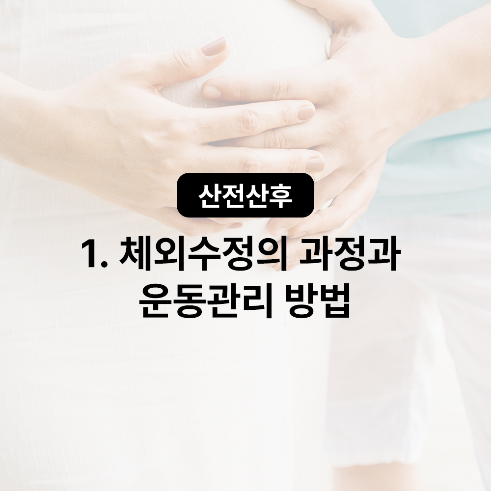 [산전산후] 1. 체외수정의 과정과 운동관리 방법